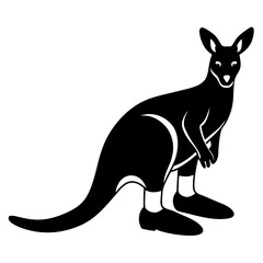 kangaroo vector illustration