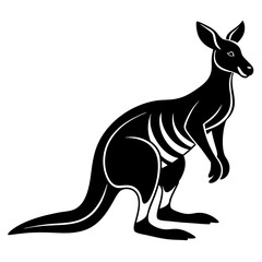 kangaroo vector illustration