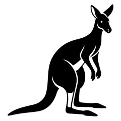 kangaroo vector illustration
