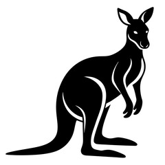 kangaroo vector illustration