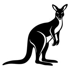 kangaroo vector illustration