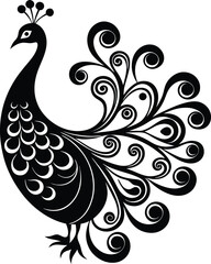 Fototapeta premium peacock feather vector