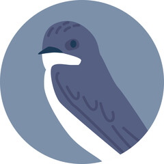 Wild forest bird vector illustration