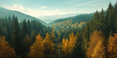 Green and Yellow Trees in Forest