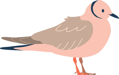 Guillemot arctic bird vector illustration