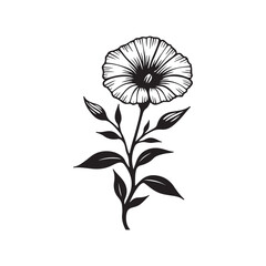 Black and white illustration, morning glory flower, bold graphic style, silhouette design