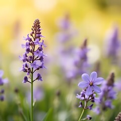 Fototapeta premium blue flowers in the garden