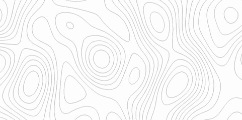 White wave paper curved reliefs abstract topographic contour map with geology concept, Topographic map lines background with black stripes, The concept of a geography scheme geometric lines backdrop.