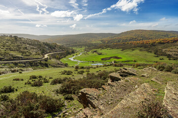 Autumn scene. Autumnal beech trees in misty woodland.