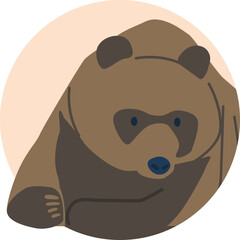 Grizzly bear living in burrows