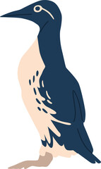 Emperor penguin arctic bird vector illustration