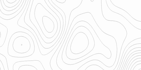 White wave paper curved reliefs abstract topographic contour map with geology concept, Topographic map lines background with black stripes, The concept of a geography scheme geometric lines backdrop.