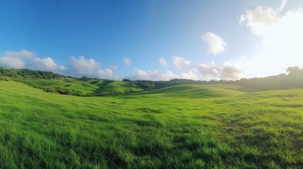Fototapeta premium Green Grass Field Rolling Hills Under Blue Sky with Fluffy Clouds for Spring Summer Campaigns