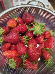 Fresh Harvest: Juicy Strawberries Ready for Enjoyment
