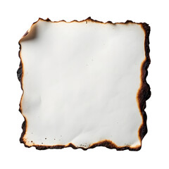 Parchment paper isolated