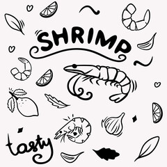 Shrimp in doodle style drawn with black line: shrimp with lemon and arugula, lemon, garlic, sushi, lettering