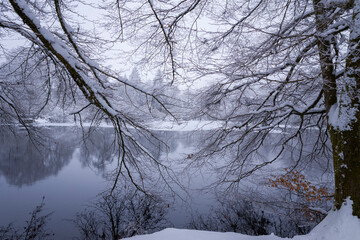 The Haut Folin lake under the snow in Europe, France, Burgundy Franche Comte, Saone et Loire, Saint...