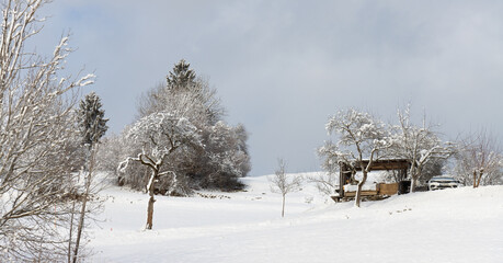 Landschaftsbild, Winter, Schnee, Winterzeit, am Berg, 