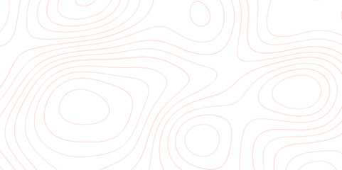 topography topology vector black and white abstract background, Topography and geography map grid abstract geometric lines background, Topographic contour map with geographic concept.