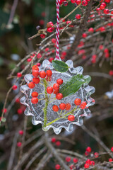 Eisfigur mit Stechpalmen-Beeren hängend im Wintergarten