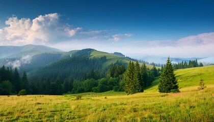 Obraz premium mountainous rural landscape of ukraine in summer picturesque highland woods grassy meadow on a misty morning carpathian countryside scenery with forest on a hill behind the pasture