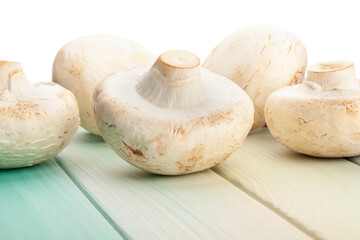 mushroom on blue wood background