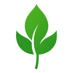 green leaf vector