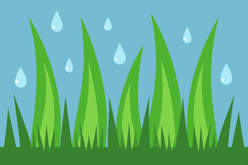 green grass and blue sky