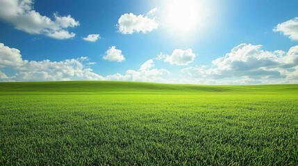 Obraz premium Expansive Rolling Green Lawn Under Bright Blue Sky and Clouds