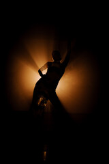 Sensual latina dancer performing in the dark with smoke creating intriguing silhouettes