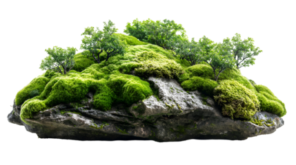 Mossy Rock Landscape Lush Green Flora with Small Trees, Nature Scene for Growth Themes, isolated on transparent background.