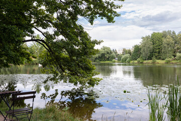 lake and forest