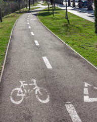 Obraz premium Bike path with a white line and a bike symbol