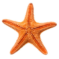 top view of A picture-perfect starfish., isolated on transparent background