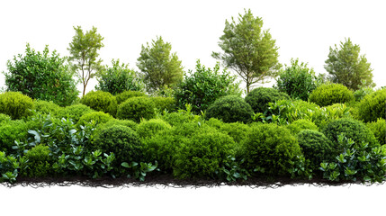 Garden Landscape Design Lush Green Foliage, Vibrant Springtime Plants for Nature Themes, isolated on transparent background.