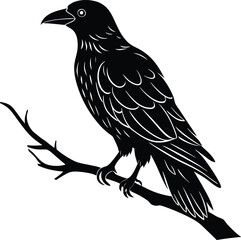 Black Raven on a tree branch silhouette