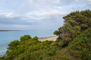 La Pelosa beach in Stintino in Europe, Italy, Sardinia, Stintino, in summer, on a sunny day.