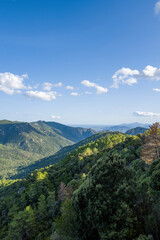 Fototapeta premium The Sardinian countryside between Baunei and Dorgali in Europe, Italy, Sardinia, Baunei, in summer, on a sunny day.