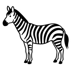 Obraz premium zebra vector illustration