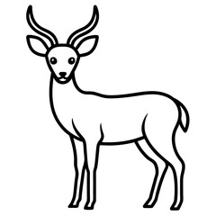 deer vector illustration