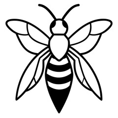 bee vector illustration