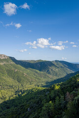 The Sardinian countryside between Baunei and Dorgali in Europe, Italy, Sardinia, Baunei, in summer, on a sunny day.