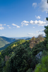 Fototapeta premium The Sardinian countryside between Baunei and Dorgali in Europe, Italy, Sardinia, Baunei, in summer, on a sunny day.
