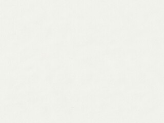 white paper background texture 