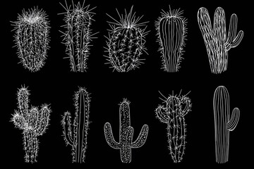 Set of cactus.