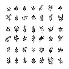 Abstract and Classic Floral Silhouettes – Black Vector Collection