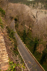 Autumn road in the forest – view from a drone