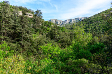 The Navacelles cirque in Europe, France, Occitanie, Herault, Saint Maurice Navacelles, in summer, on a sunny day.