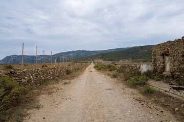 The road in the middle of an abandoned village in Asinara National Park in Europe, Italy, Sardinia, Asinara, in summer, on a sunny day.
