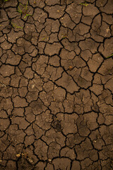 Cracked Dirt Texture With Grass Growing On The Edge